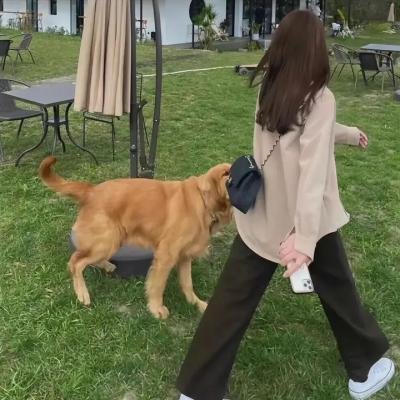 深宫蜜语
